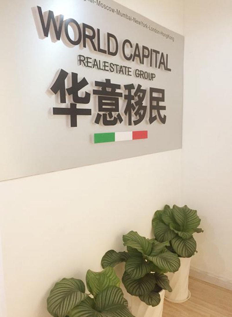 签证办理新动态：快速高效不再遥远